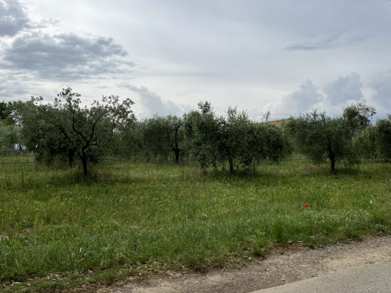 Ferien auf dem Bauernhof