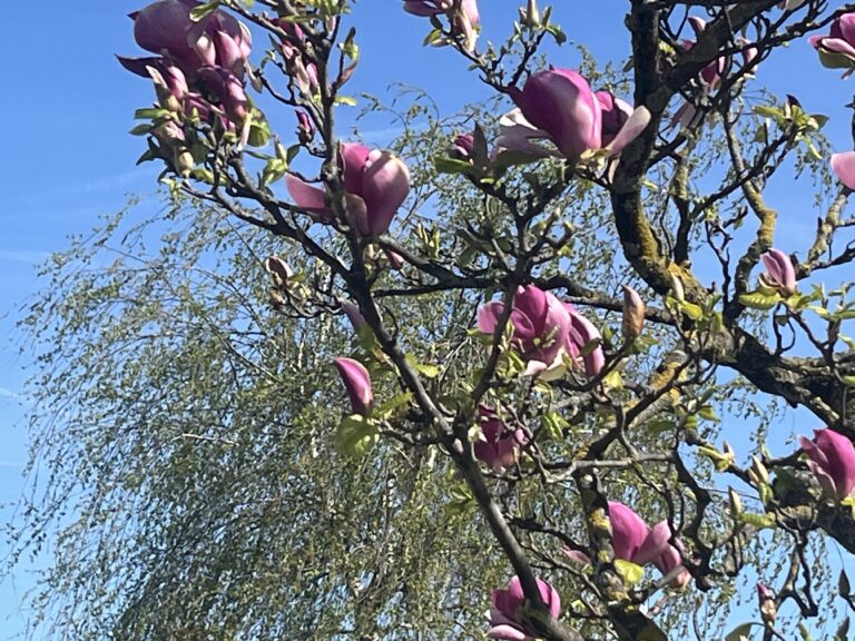 Ostersonntag in Genf