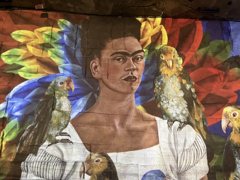 Carrières des lumières – Frida Kahlo