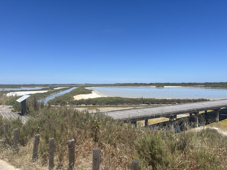 Frontignan Plage – Maguelone